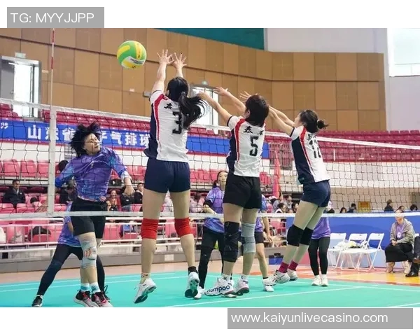 女排对决荷兰强敌挑战赛展现巾帼风采与拼搏精神